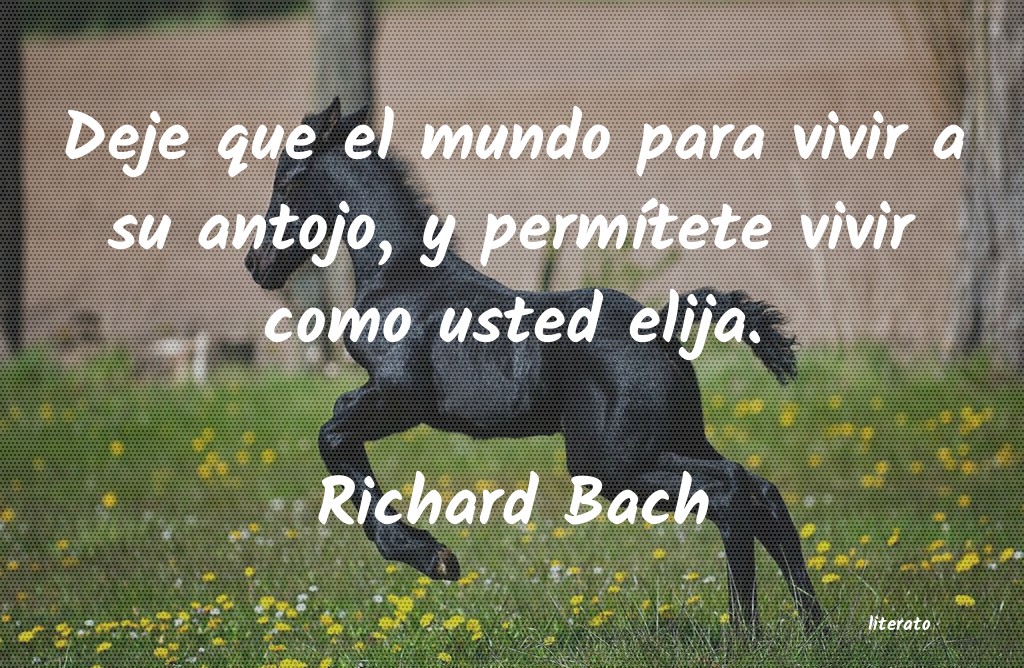 Frases de Richard Bach