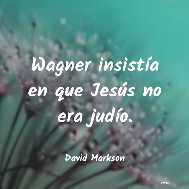 Frases de David Markson