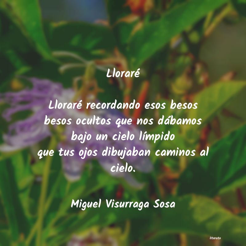 Frases de Miguel Visurraga Sosa