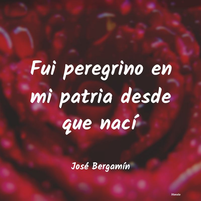 frases de José BergamÃn