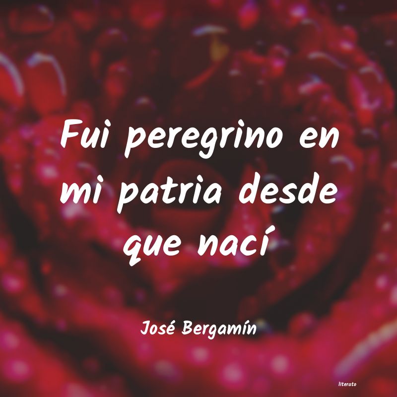 Frases de José Bergamín