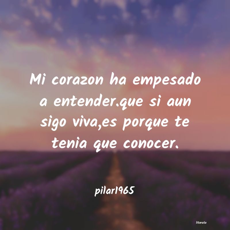 frases de pilar1965