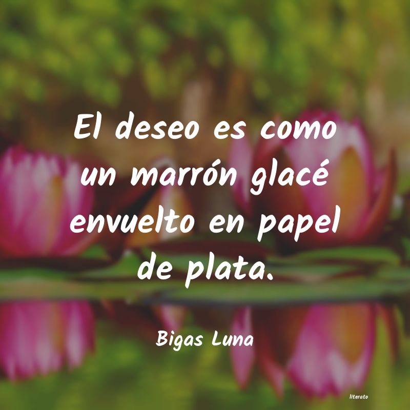 richard bach no nos concede un deseo
