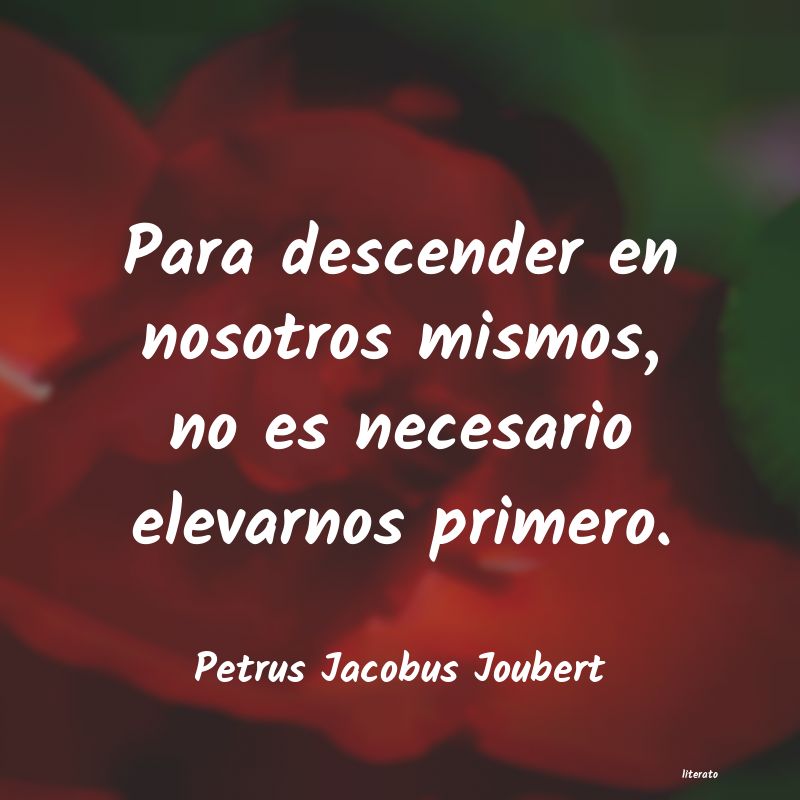 Frases de Petrus Jacobus Joubert