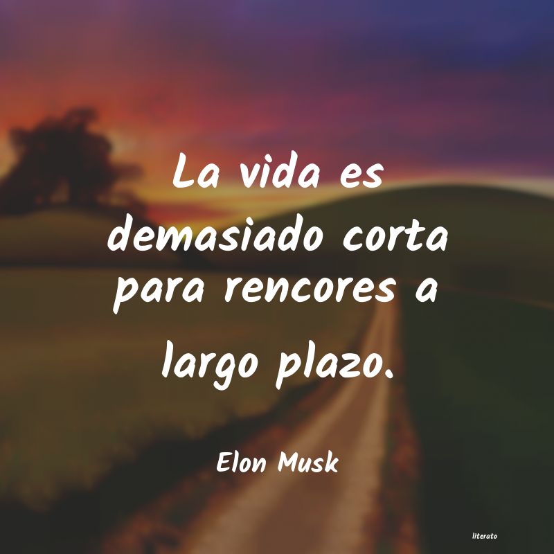 frases de Elon Musk