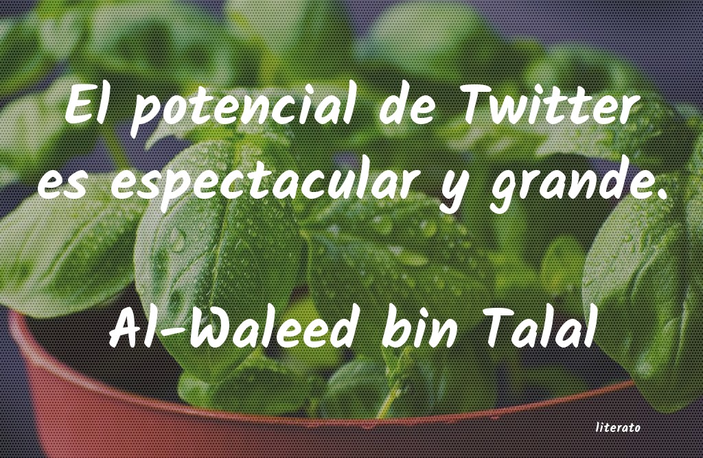 frases de Al-Waleed bin Talal
