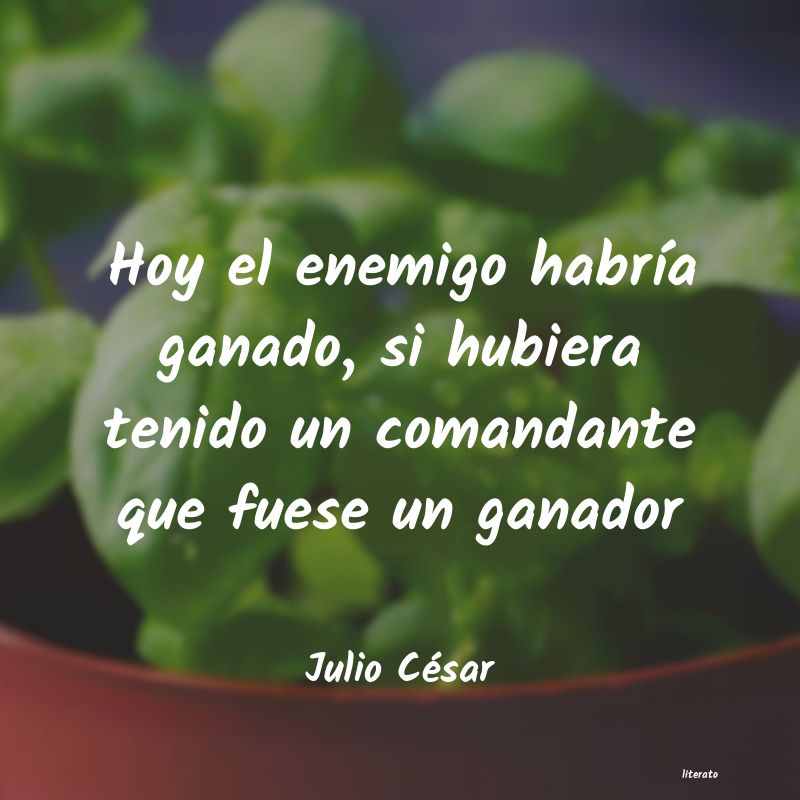 Frases de Julio César