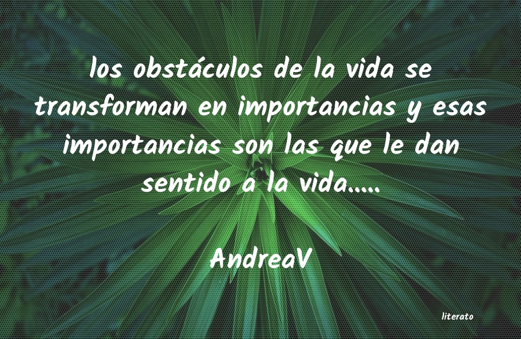 Frases de AndreaV