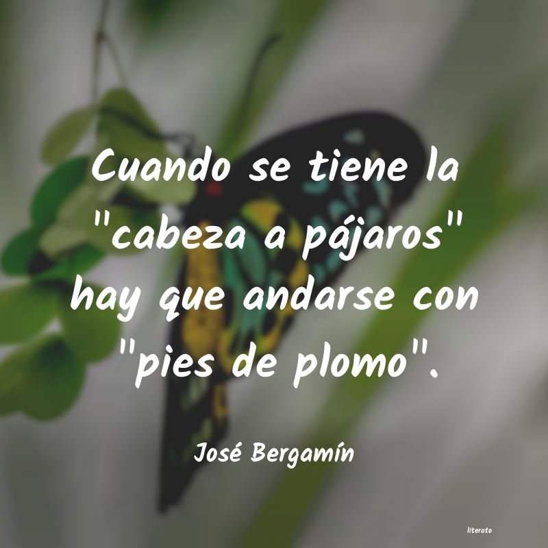 frases de José BergamÃn