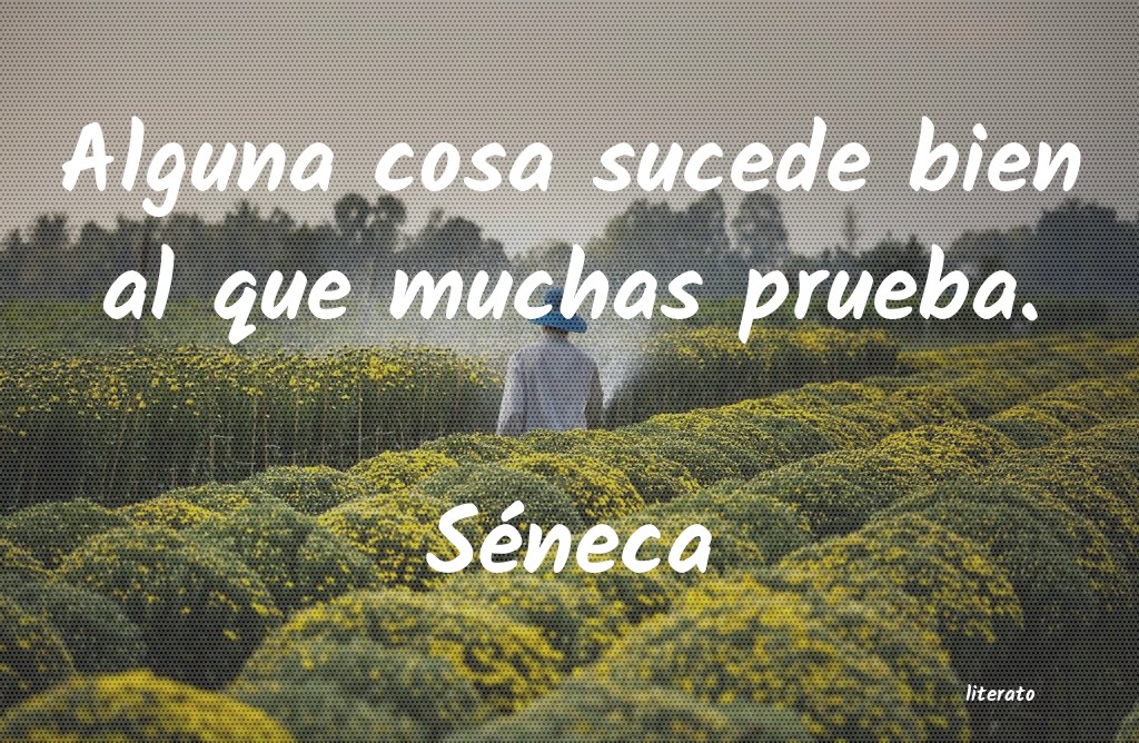 frases de SÃ©neca