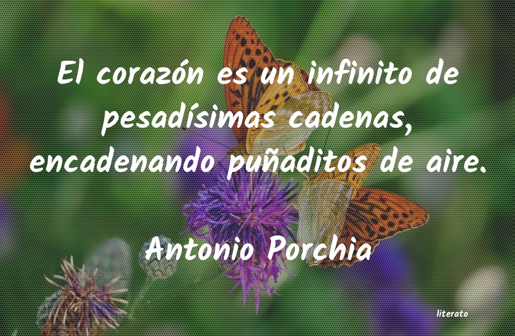 Frases de Antonio Porchia