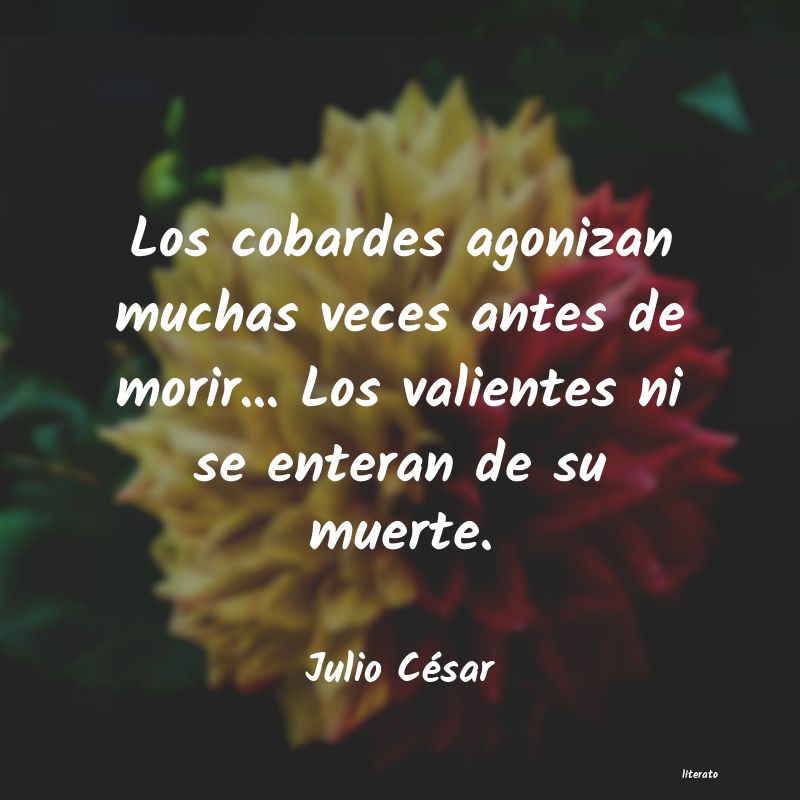 frases de Julio César