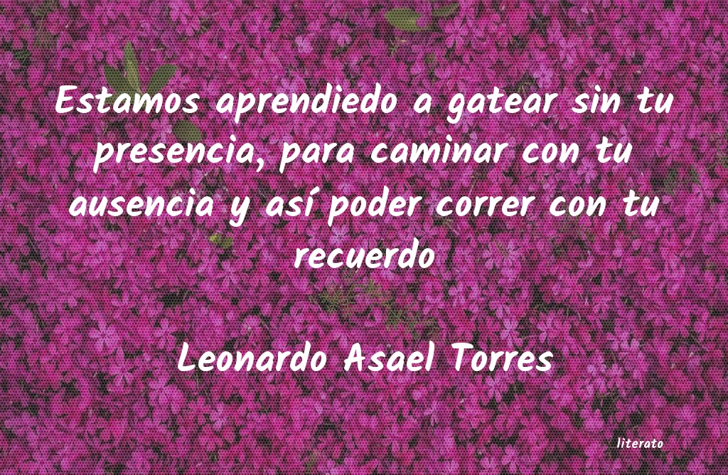 armando gonzález torres