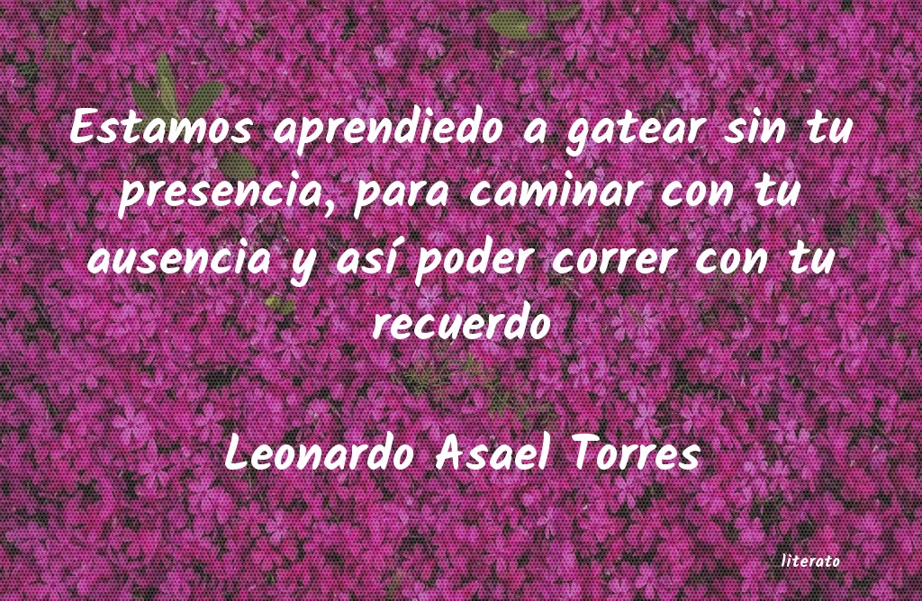 Frases de Leonardo Asael Torres