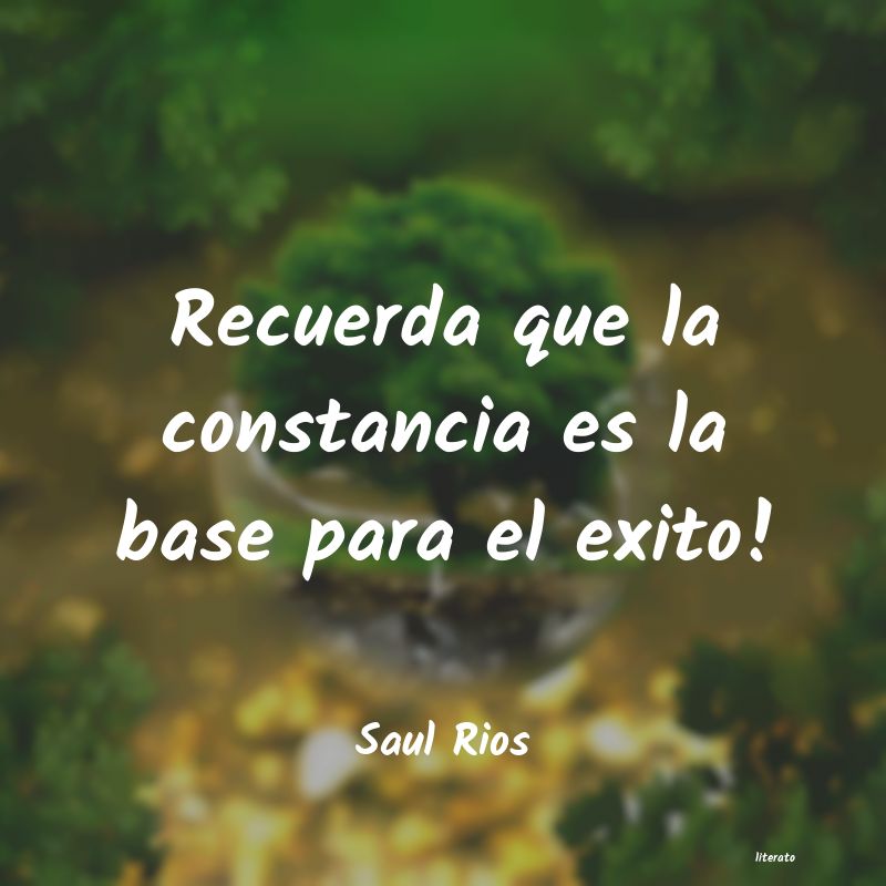 Frases de Saul Rios