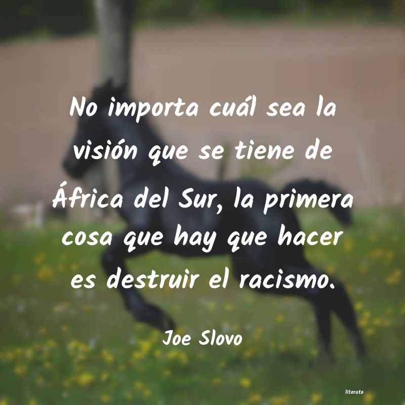 Frases de Joe Slovo