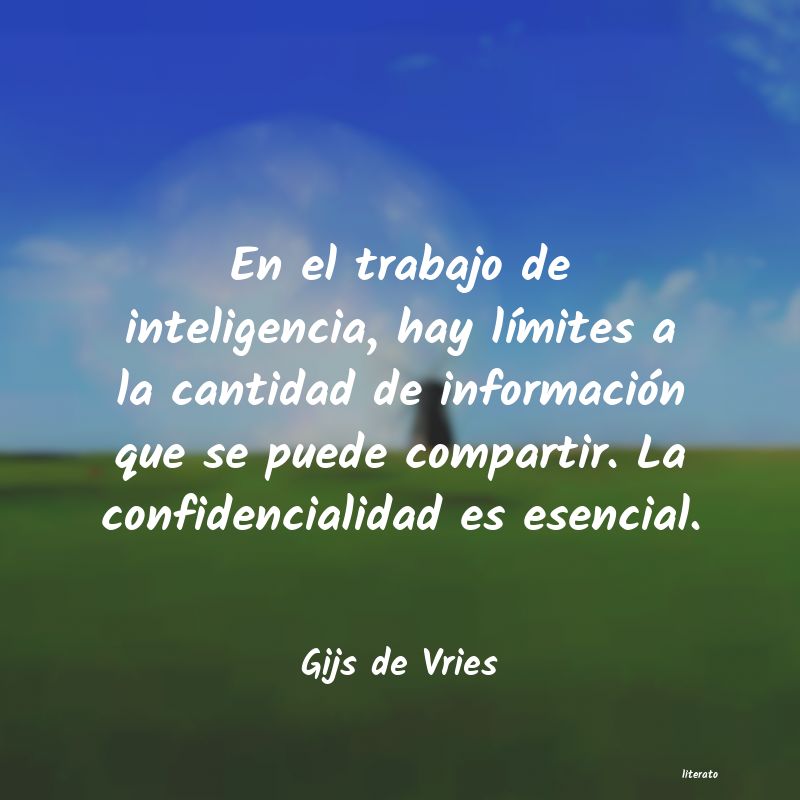 frases de Gijs de Vries