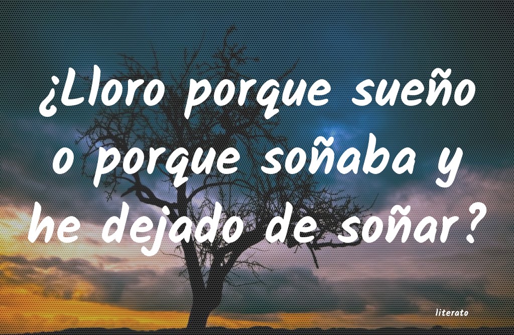 frases
