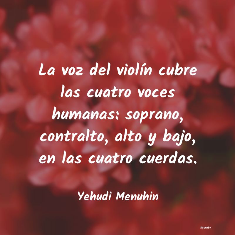 Frases de Yehudi Menuhin