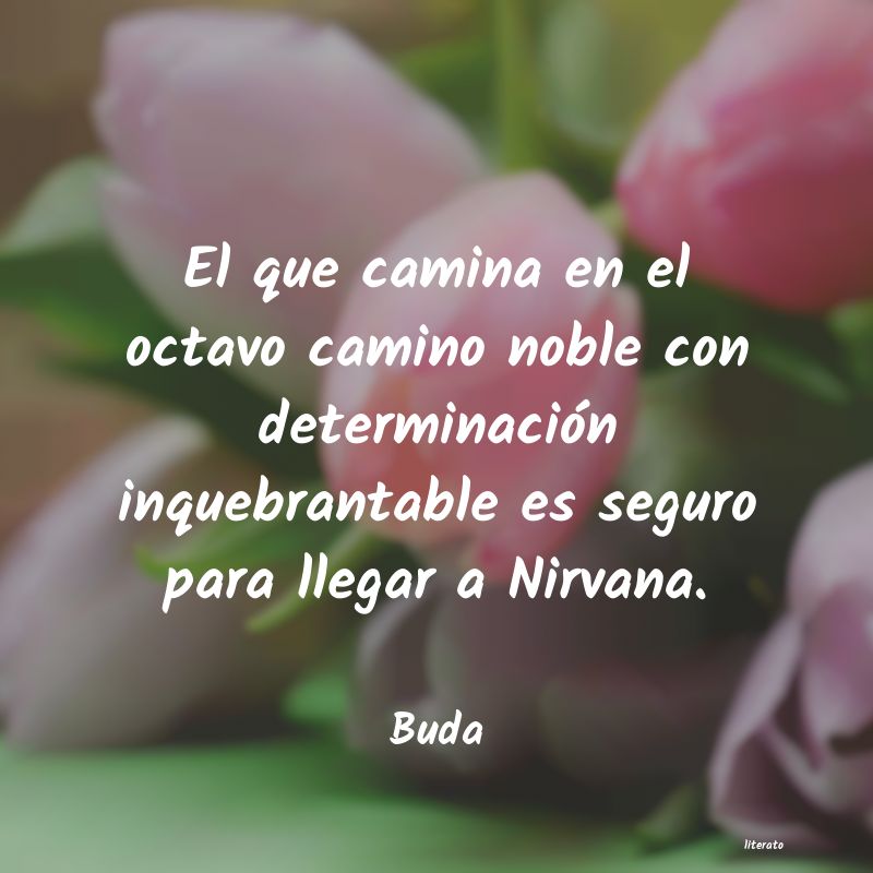 frases budistas