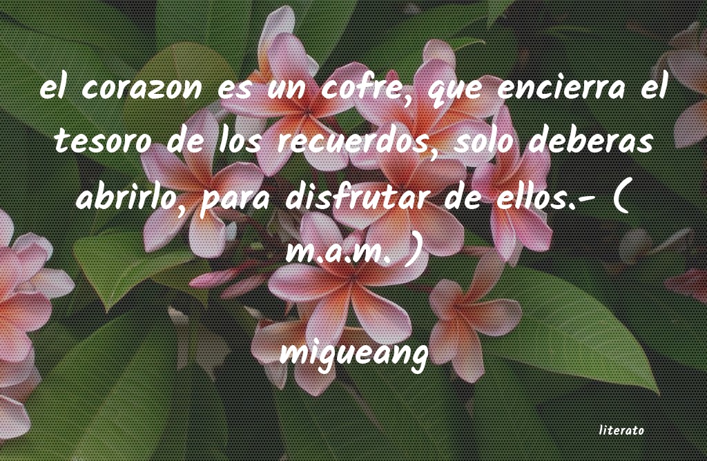 frases de migueang