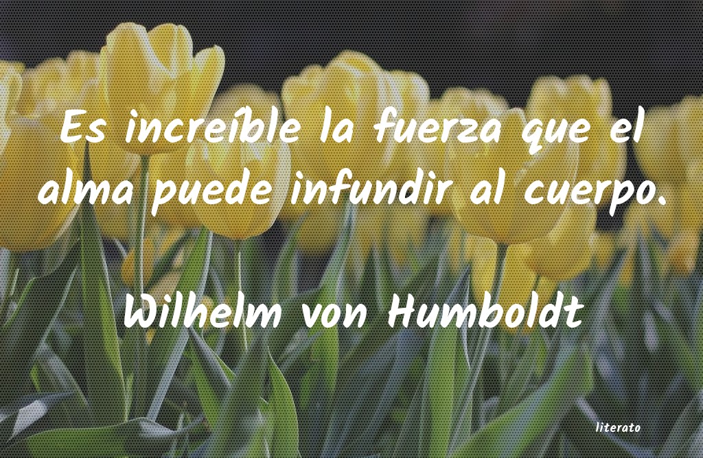 Frases de Wilhelm von Humboldt