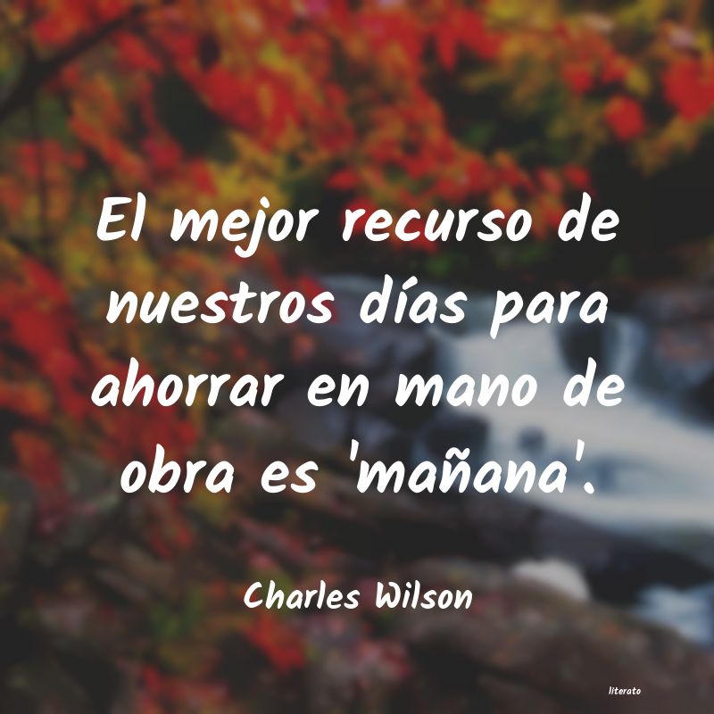 Frases de Charles Wilson