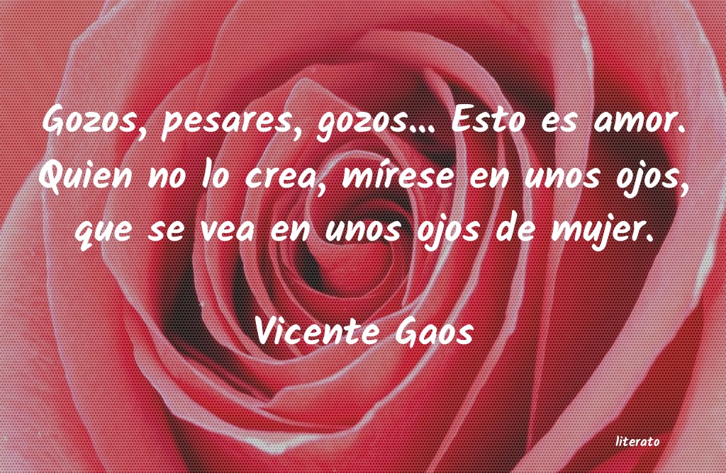 Frases de Vicente Gaos