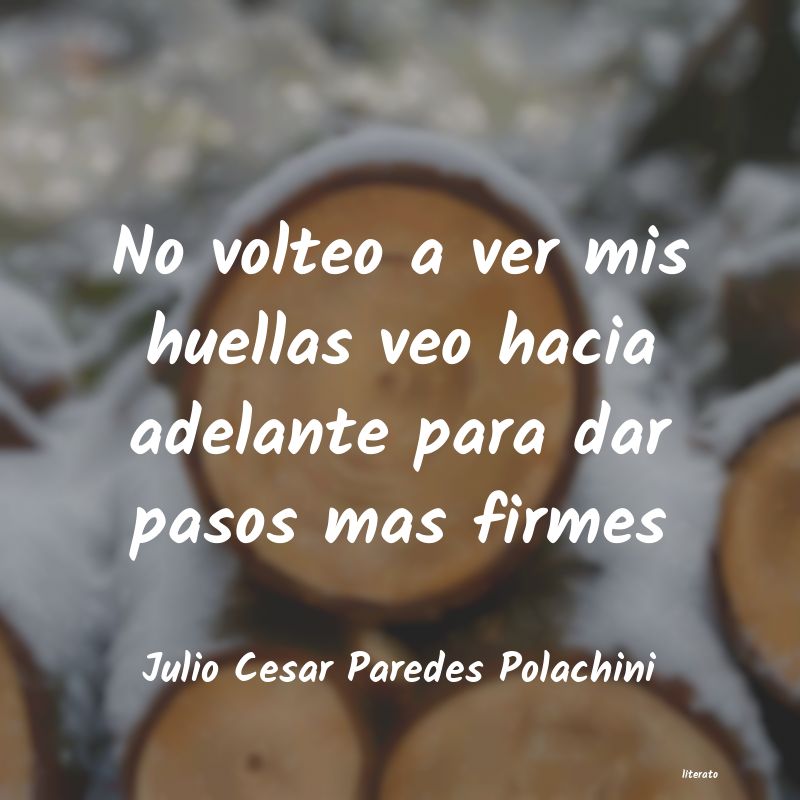 frases de Julio Cesar Paredes Polachini