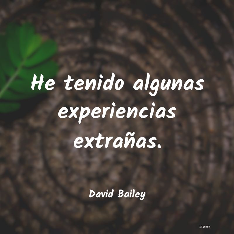 Frases de David Bailey