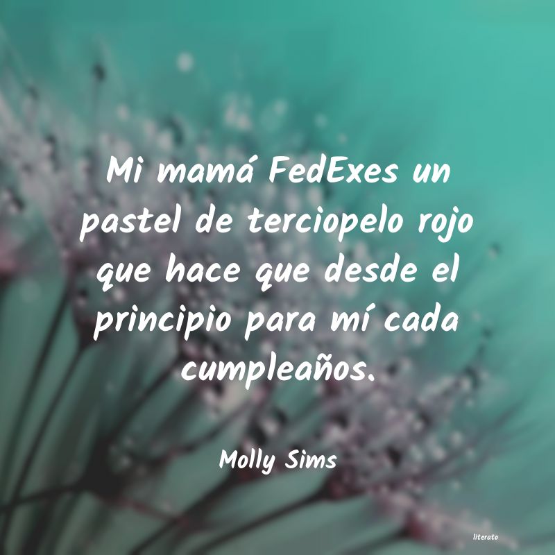 frases de Molly Sims