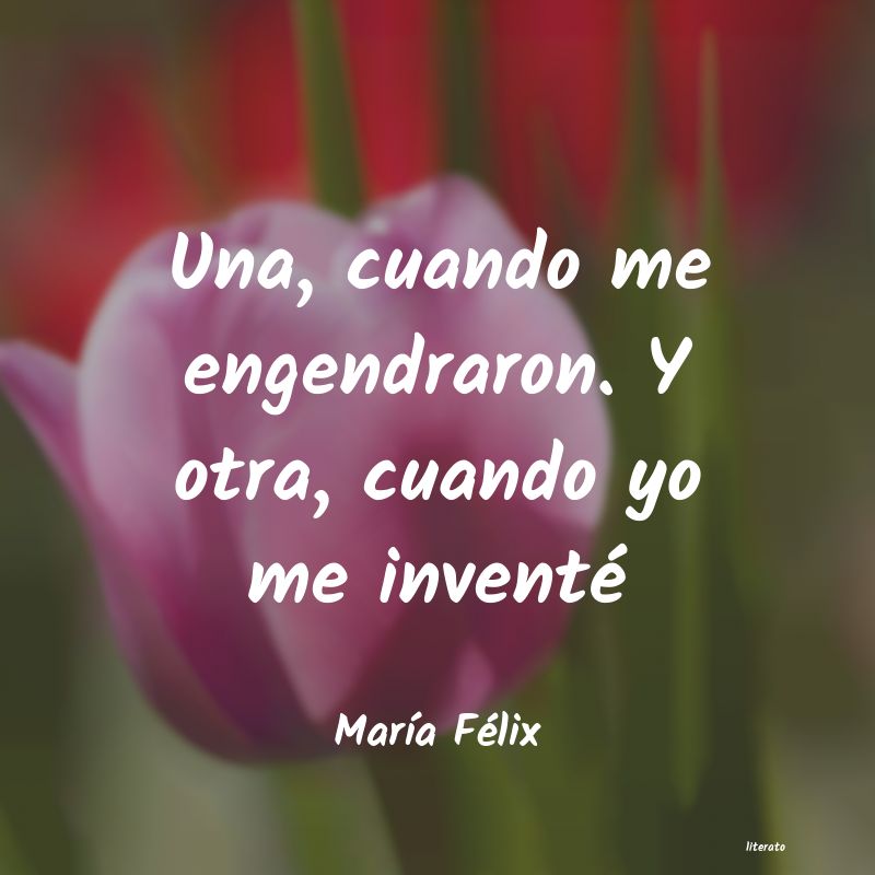 Frases de María Félix