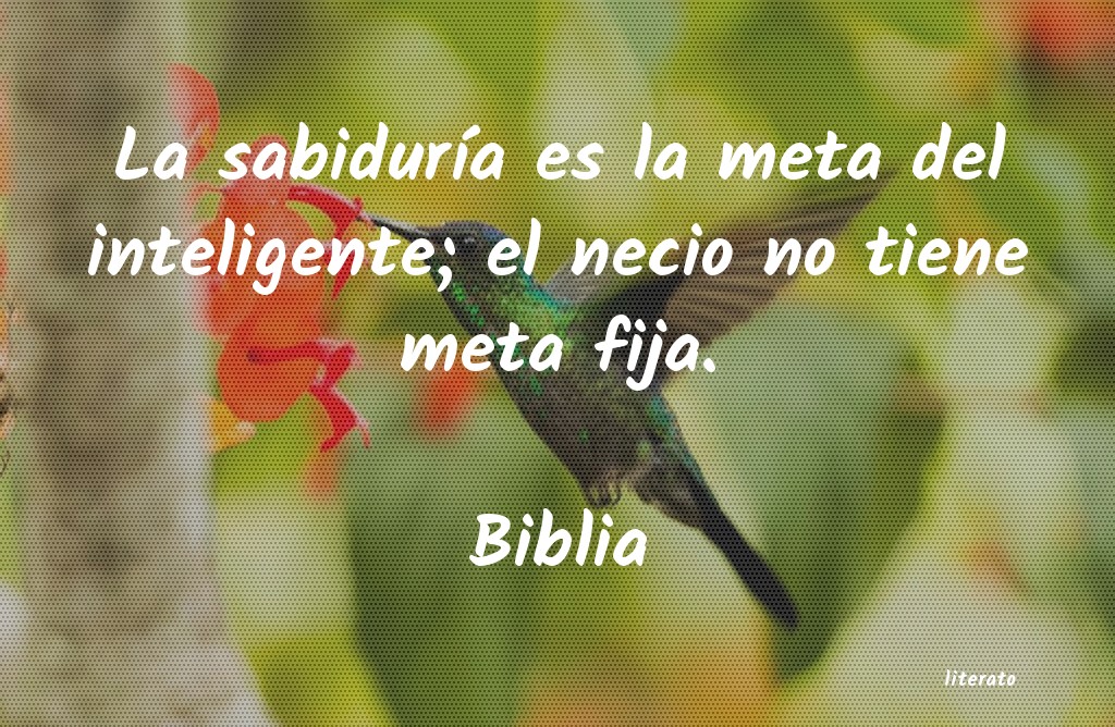 Frases de Biblia