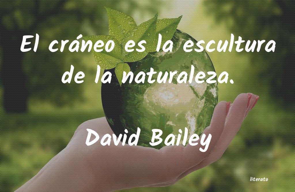 Frases de David Bailey