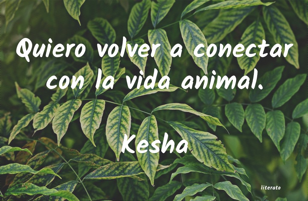 Frases de Kesha