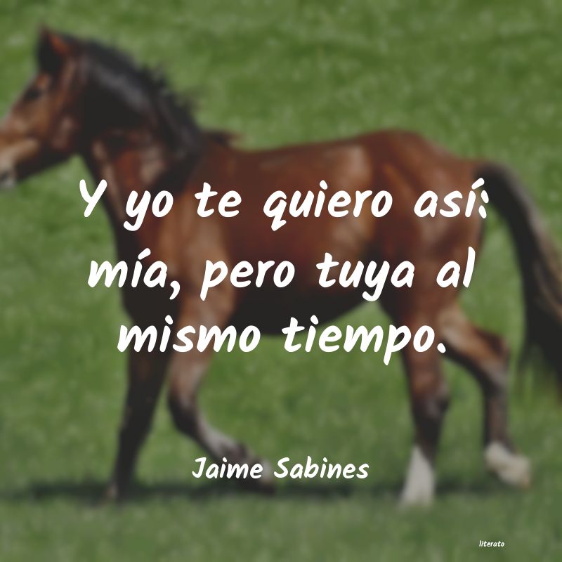 Frases de Jaime Sabines