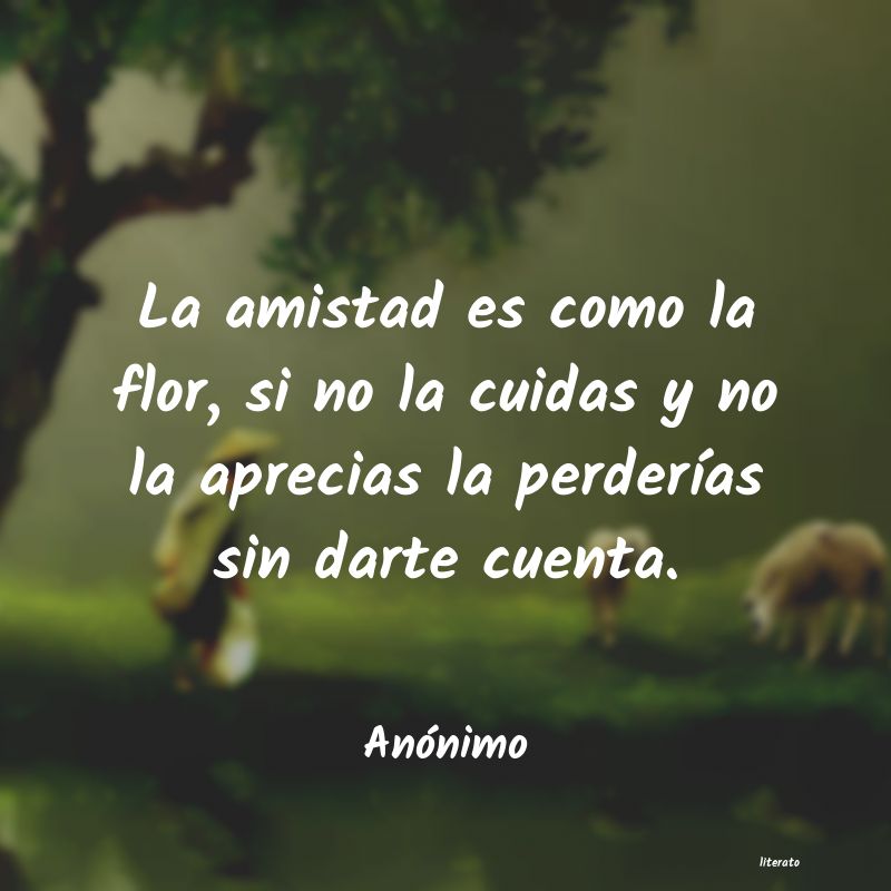 frases