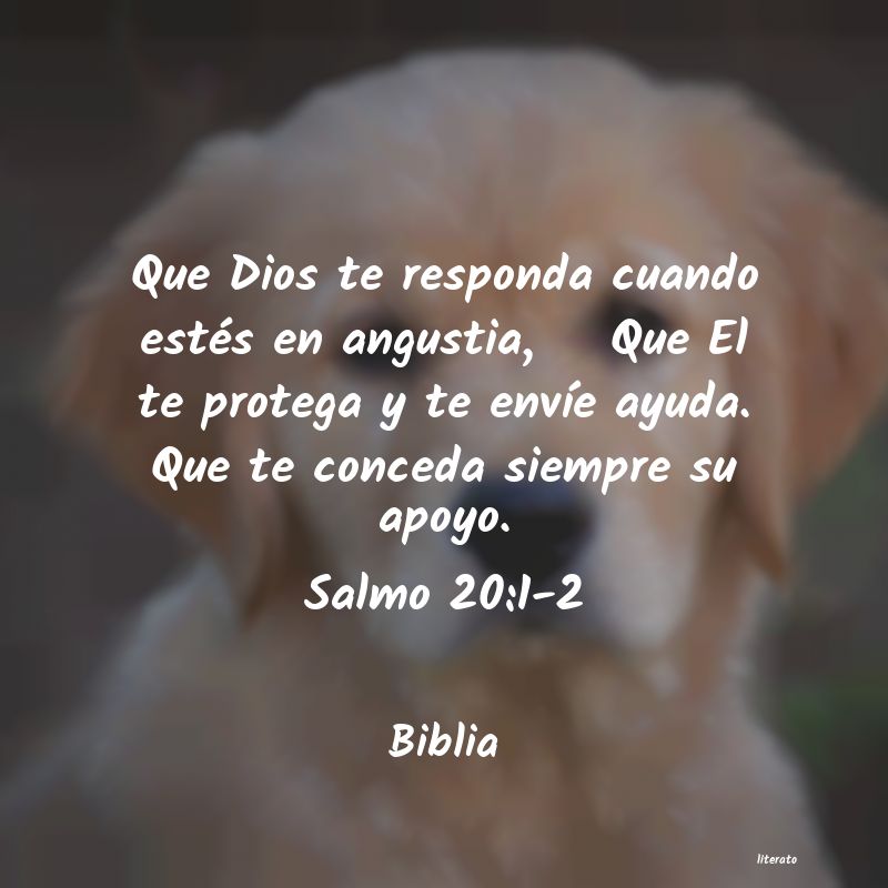 Frases de Biblia