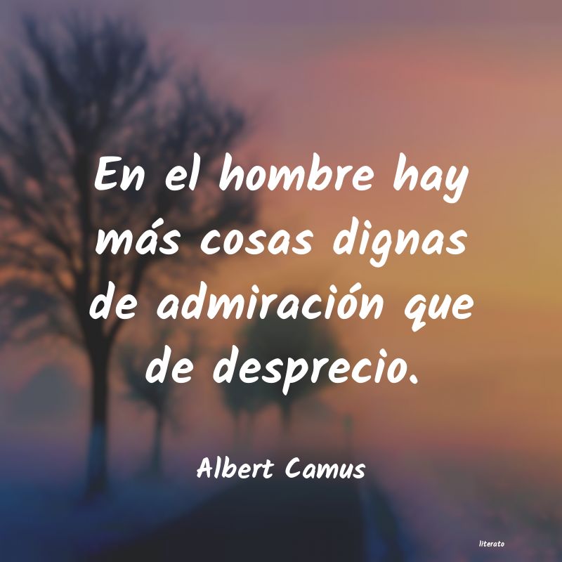 frases de Albert Camus