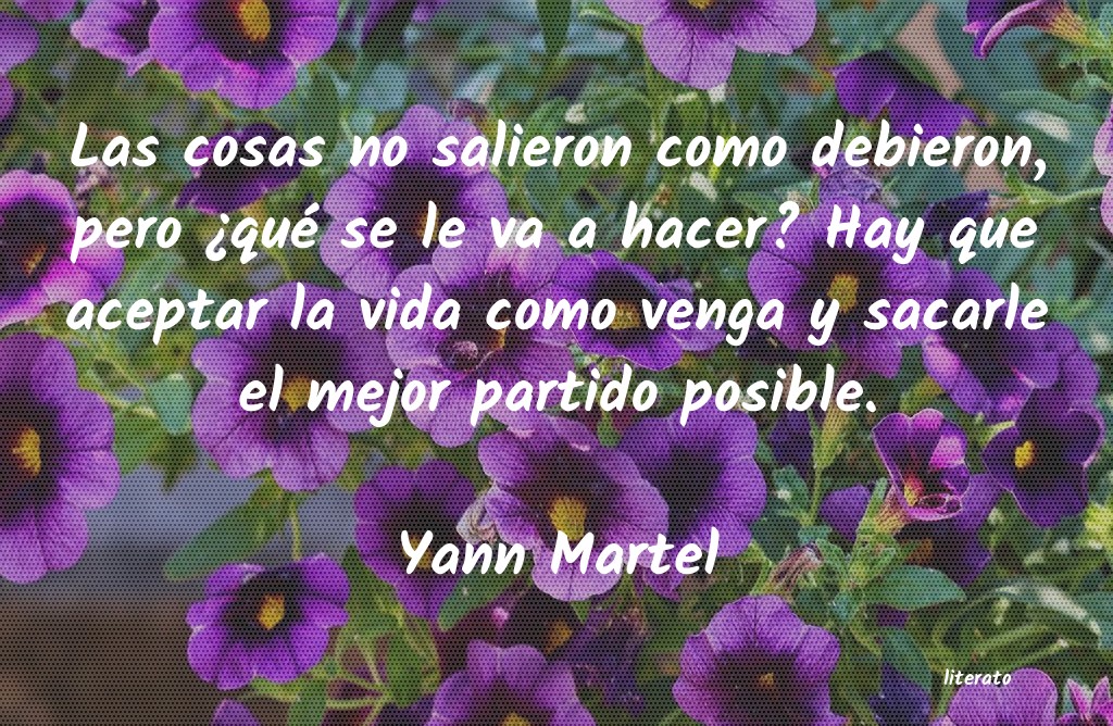 frases de Yann Martel