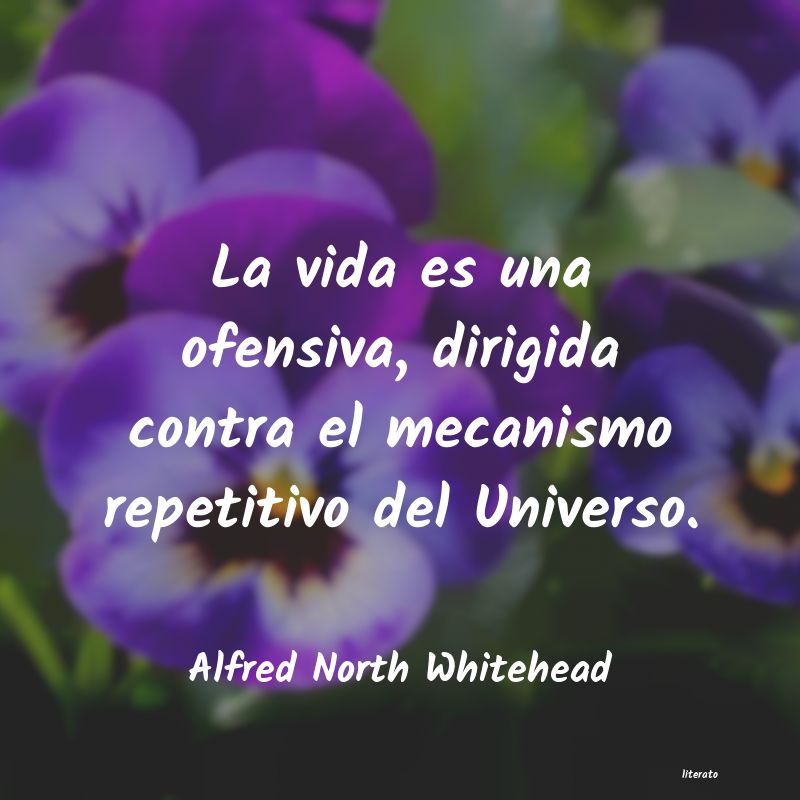 frases de Alfred North Whitehead