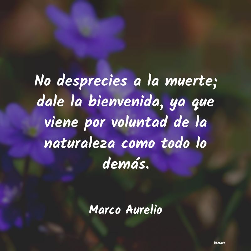 frases de Marco Aurelio