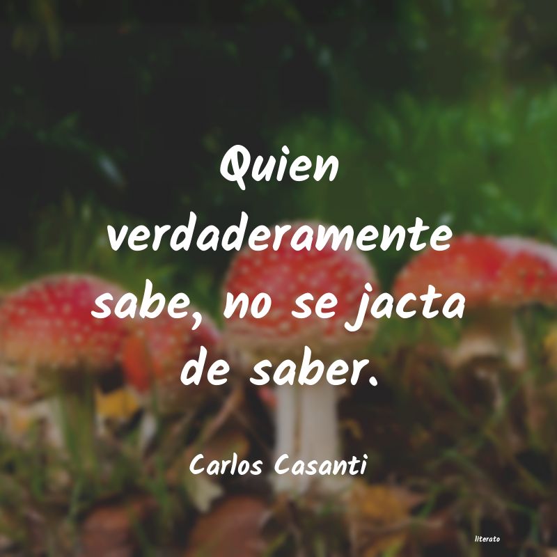 Frases de Carlos Casanti