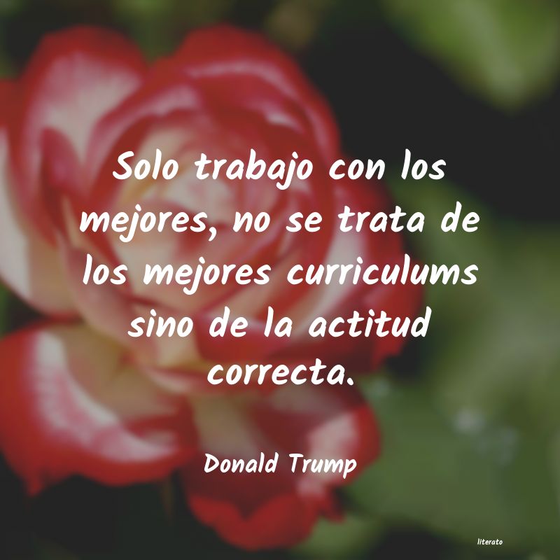 Frases de Donald Trump