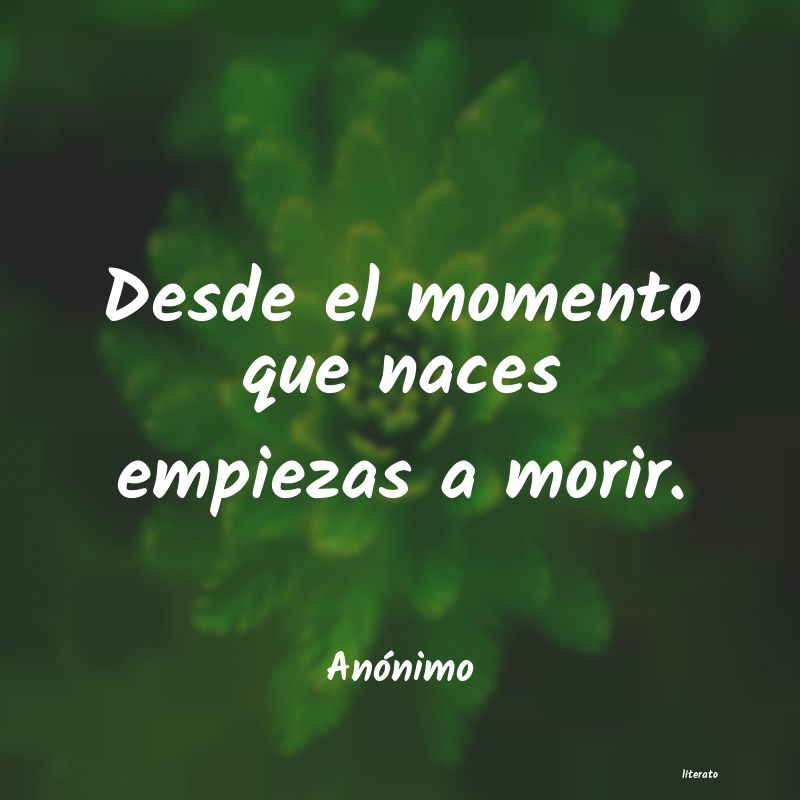 frases