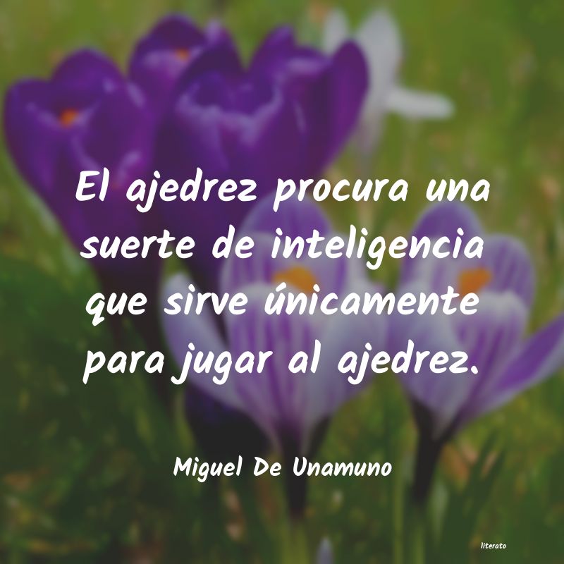 Frases de Miguel De Unamuno