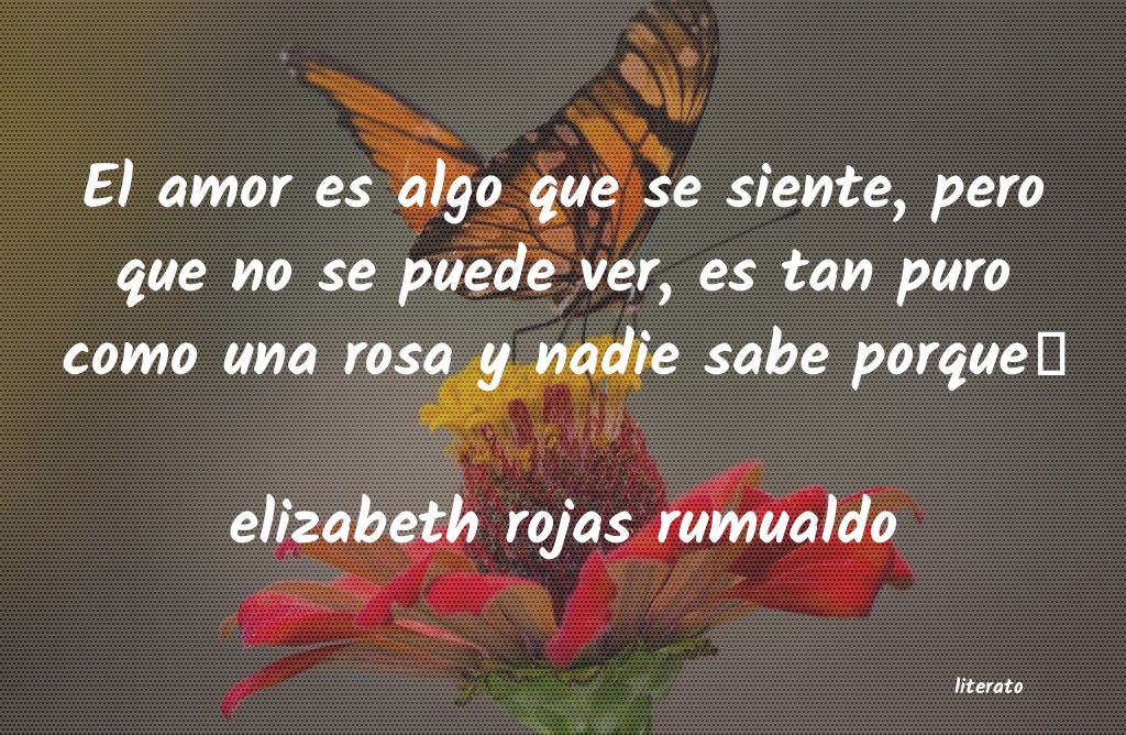 Frases de elizabeth rojas rumualdo