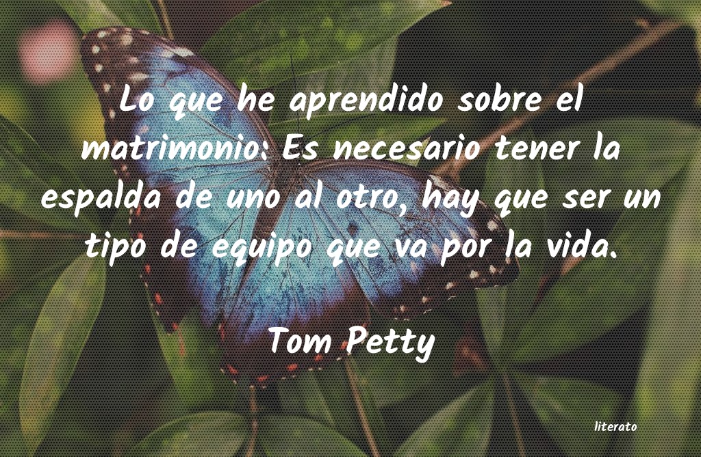 Frases de Tom Petty