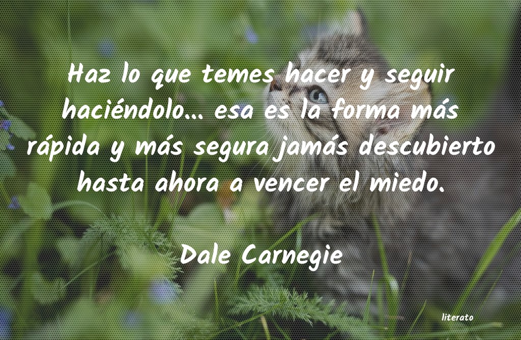 frases de Dale Carnegie