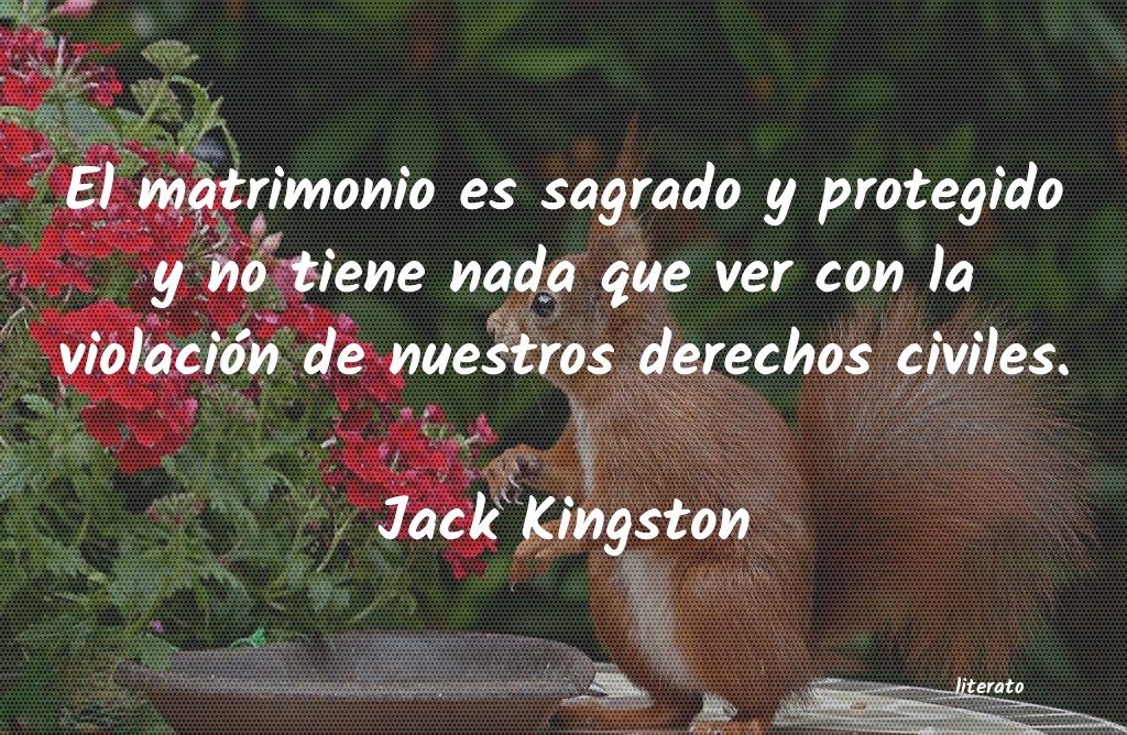 frases de Jack Kingston